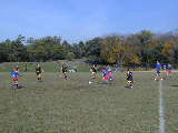 Click to see PA210130.JPG